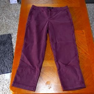 Liverpool Maroon/Red Trouser Pant